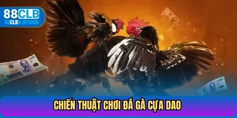 Chiến thuật chơi đá gà cựa dao và lựa chọn chiến kê