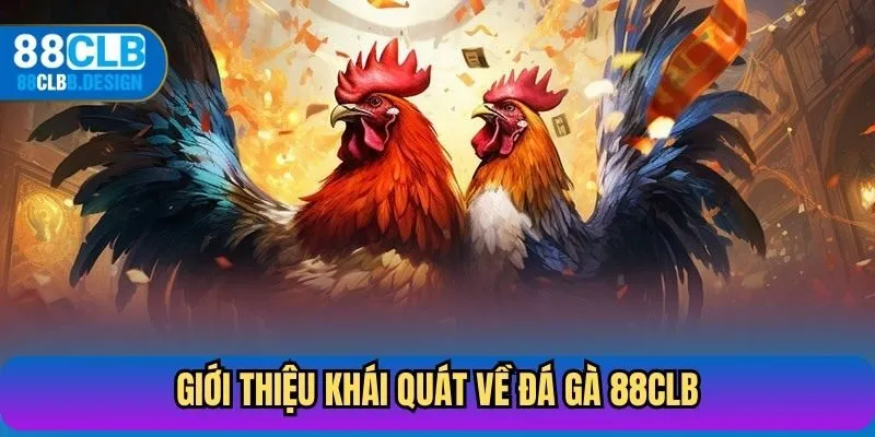 Giới thiệu khái quát về đá gà 88CLB