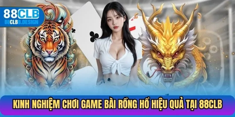 Kinh nghiệm chơi game bài Rồng Hổ hiệu quả tại 88CLC