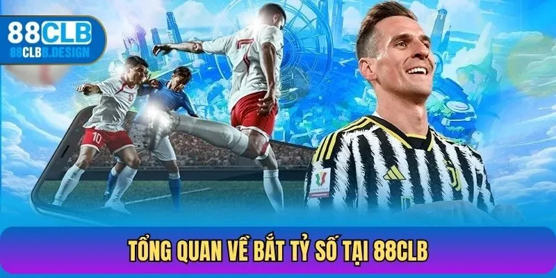 Tổng quan về bắt tỷ số tại 88CLB